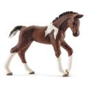 Schleich -  Trakehner Fohlen